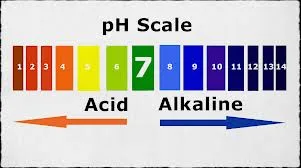 pH scale