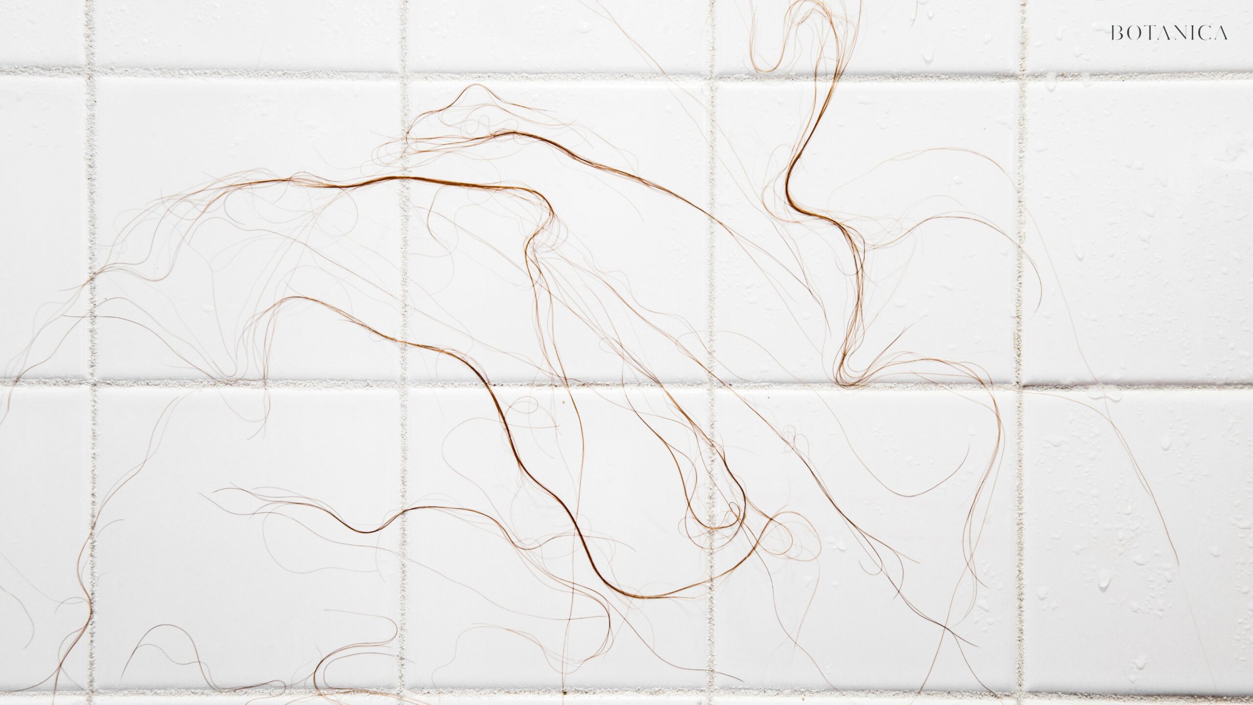 What Is a "Normal" Amount of Hair Loss to Experience From Showering?