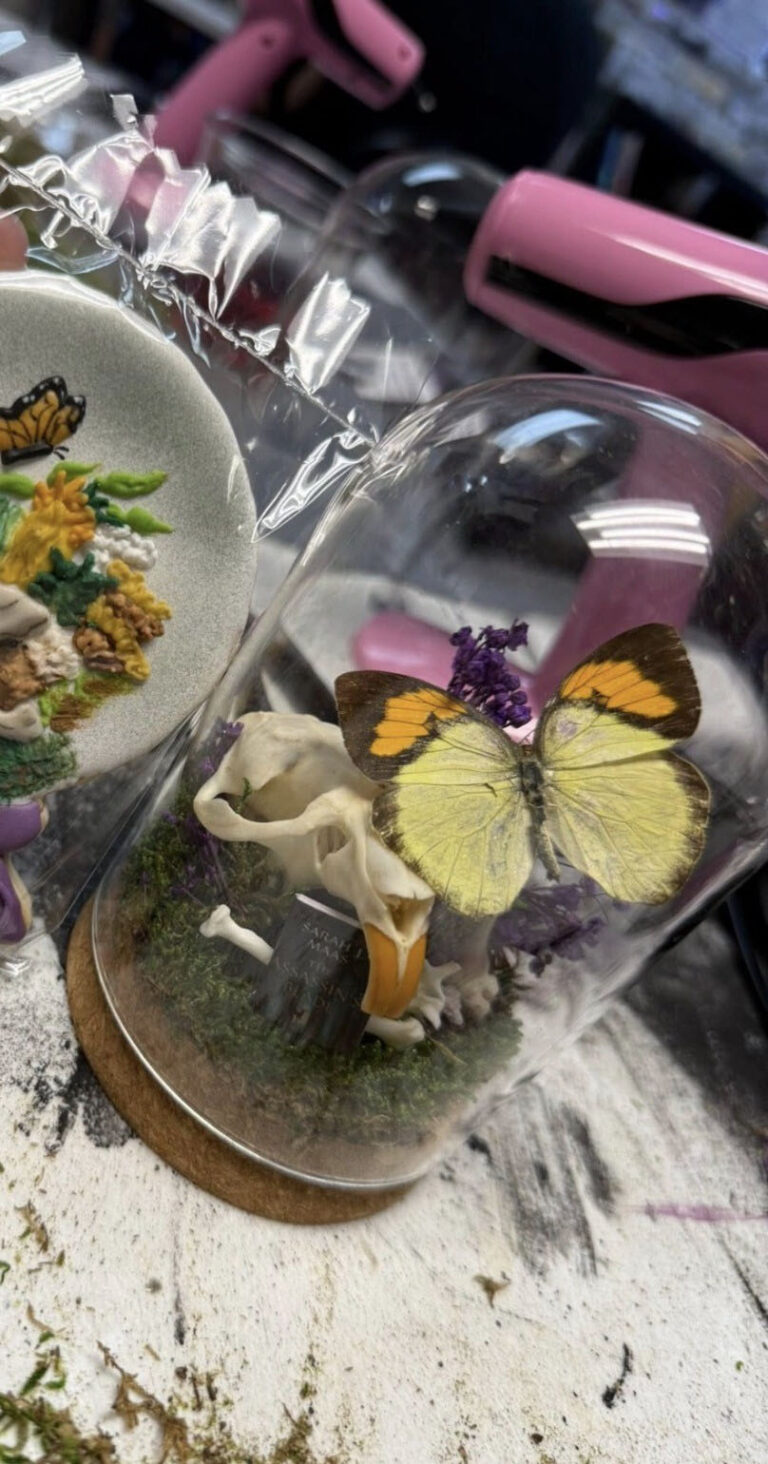 BUTTERFLY DOME CLASS