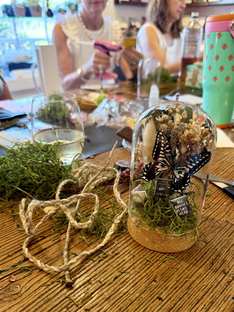 BUTTERFLY DOME (OR SHADOWBOX) WORKSHOP